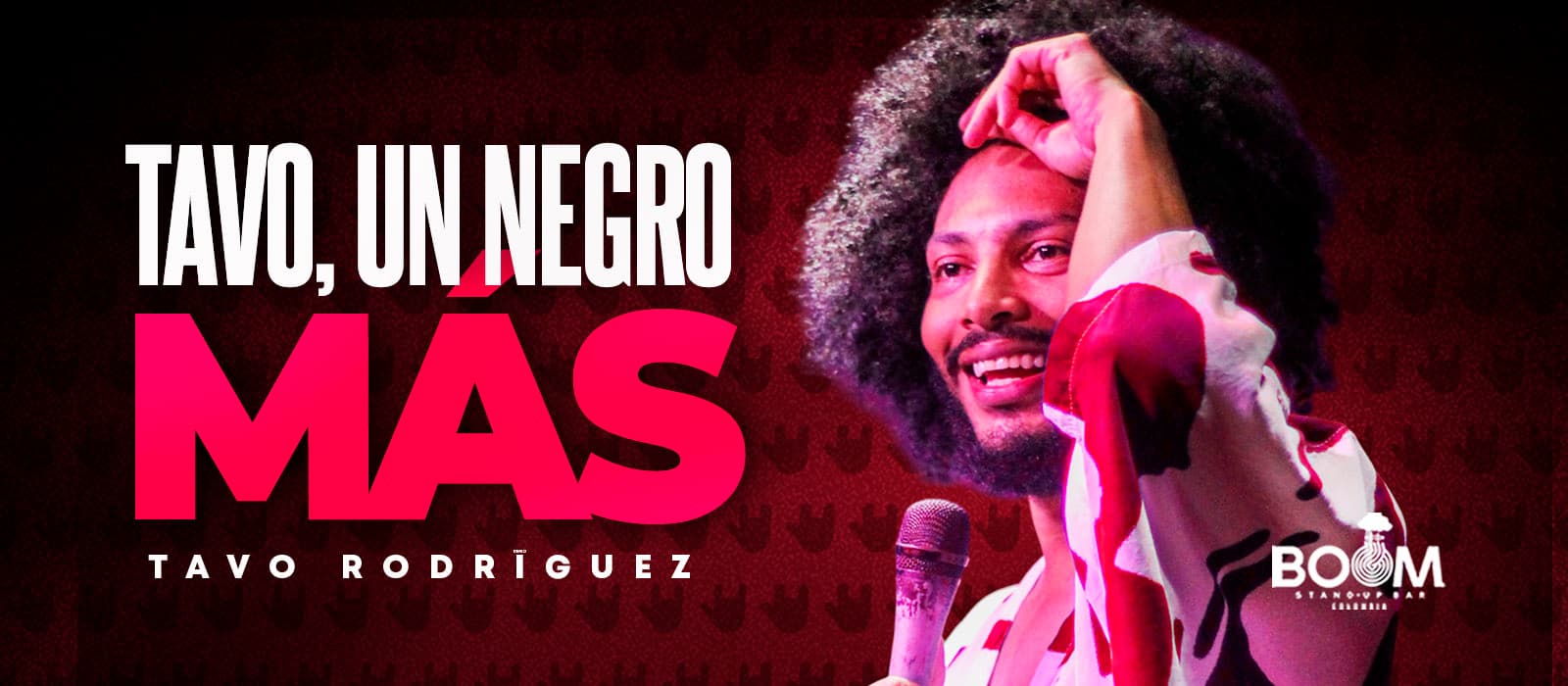 TAVO EN VIVO