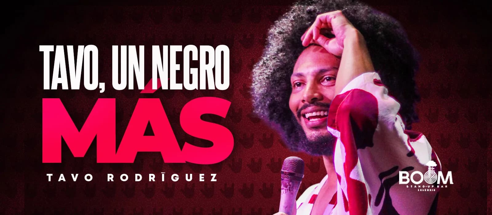 TAVO EN VIVO